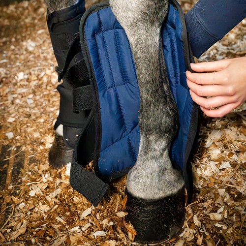 Stivali scuderia horseware - stivali,