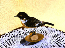 Trofeo caccia Santinpalo