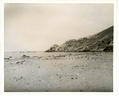 Foto vintage 8x10 - vintage,