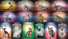 Insegne top, varie taglie