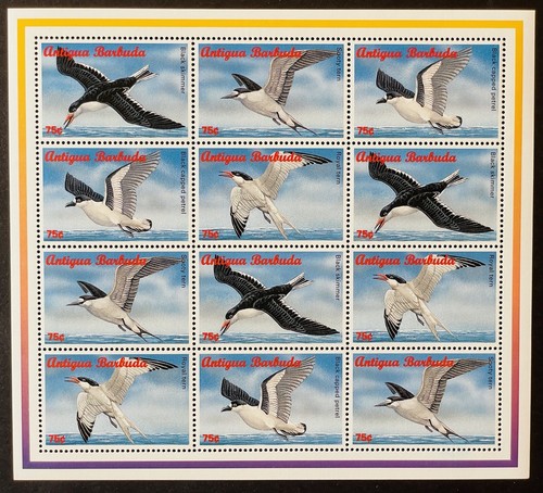 Francobolli antigua uccelli - uccelli, di