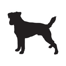 Parson jack russell - parson,