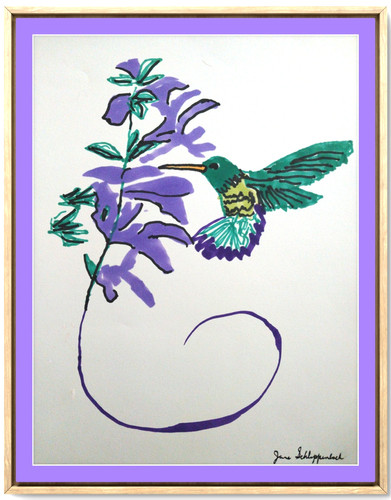 Alimentazione colibrì moderno - alimentazione,