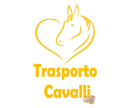 Adesivo auto trasporto cavalli - auto,