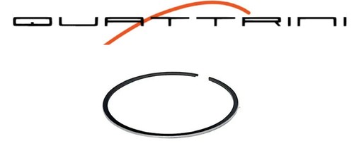 Segmento quattrini m1l m1b - segmento,