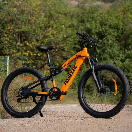 Bicicletta elettrica paselec - bicicletta,