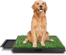 Lettiera per Cani Ttoilette per Animali Domestici, Lavabile, 63 X 50 Cm