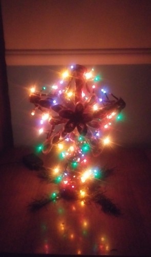 Puntale albero natale - puntale, di