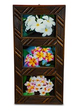 Cornici Collage Legno Massello