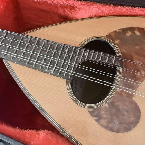 Suzuki mandolino con - m-60,
