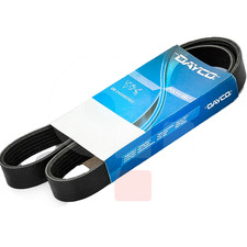 Cinghia Servizi Alternatore