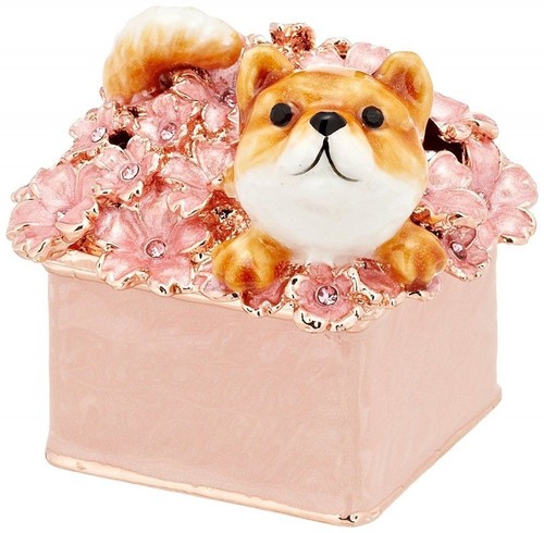 Scatola portagioie shiba - shiba, inu