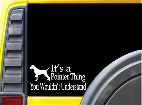 Adesivo pointer thing - it's,