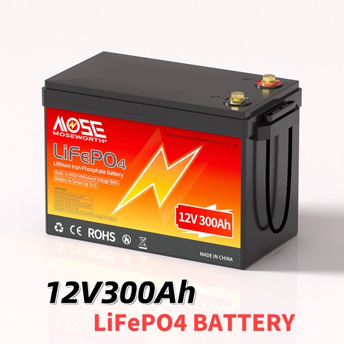 Batteria litio 24v 100ah - litio,
