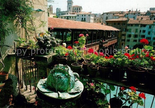 Bassano del grappa - grappa, ponte