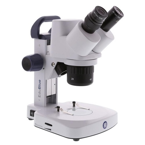 Stereomicroscopio euromex - stereomicroscopio,