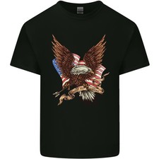 USA Aquila Bandiera America