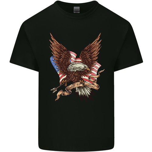 Usa aquila bandiera - usa,