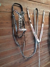 Completo per cavallo frisone