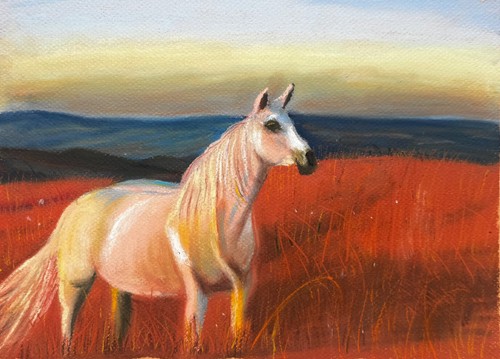 Quadro cavallo bianco - 9/12,