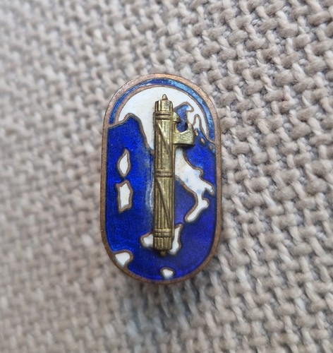 Spilla distintivo partito - distintivo,