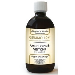 Giorgini gemmo - dr,