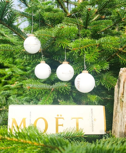 Moet chandon champagne - moet,