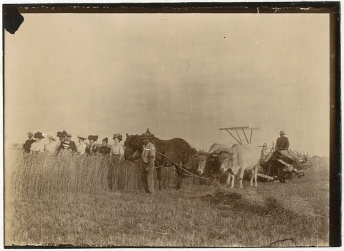 Foto allevatore agricoltore - foto,