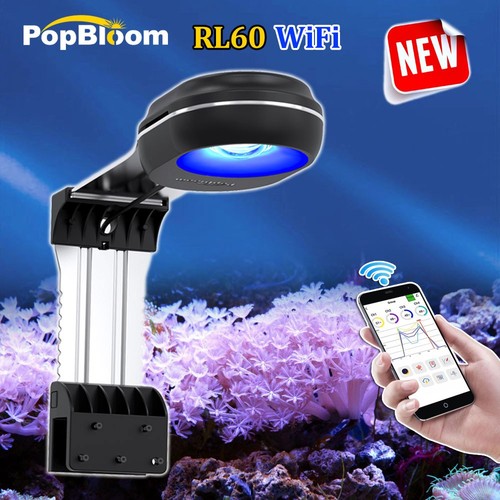 Popbloom rl60 led - popbloom,