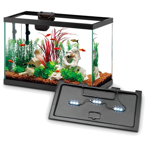 Starter kit per acquario con - per,