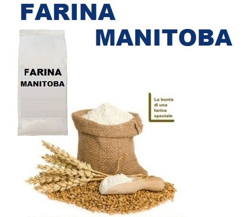 Farina manitoba americana - manitoba,