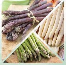 Piante di asparagi resistenti