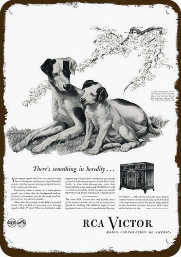 1945 rca radio - 1945, cane