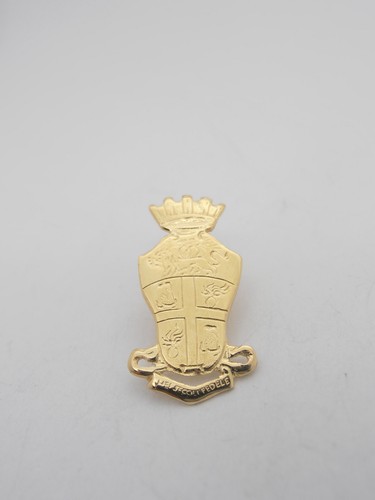 Carabinieri spilla in - carabinieri,