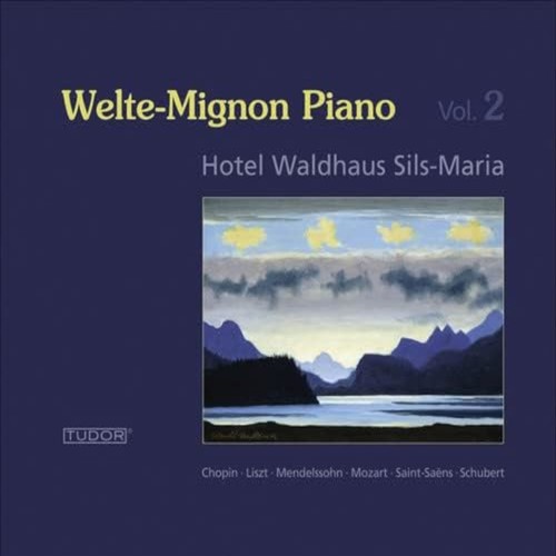 Wolfgang amadeus mozart - wolfgang,
