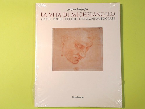 Vita michelangelo - vita,