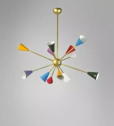Bracci multicolore italiano - multicolore,