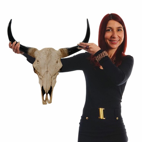 Teschio decorativo cm - decorativo, 45