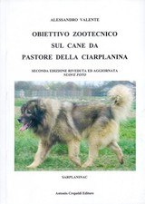 Libri Alessandro Valente -