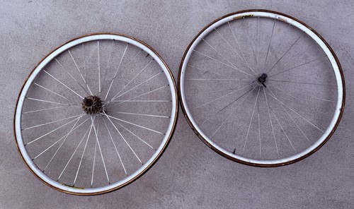 Ingranaggio fisso ruota bici
