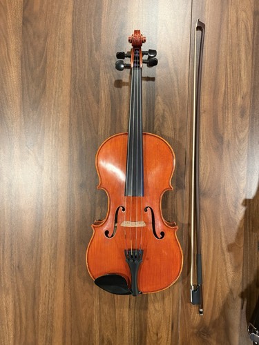 Strumento musicale viola