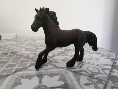 Stallone frisone miniatura - frisone, in