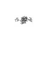 KYOSHO MMW11 Titanium Screw