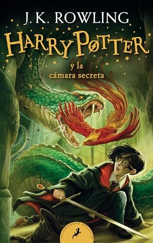 Harry potter camara - harry, la