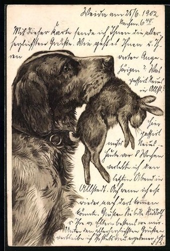 Litografia cane caccia - cane, da