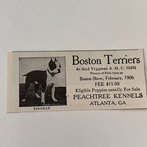 Pubblicità peachtree kennels - pubblicità,