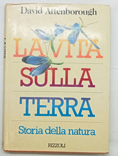 Vita sulla terra david - terra,