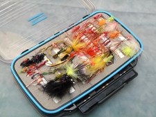 Shakespeare scatola mosche