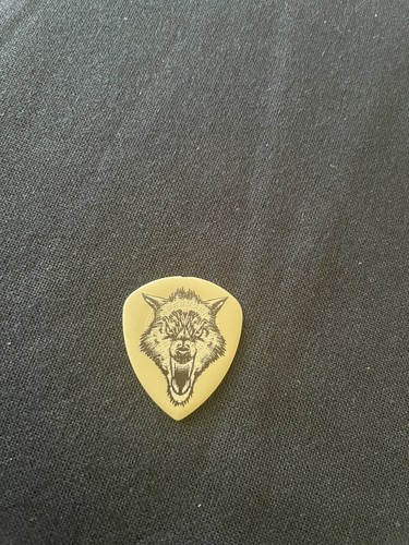 Metallica concert pick - metallica, james