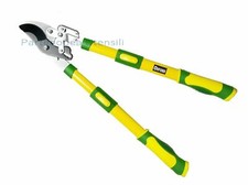 Cesoie per Potatura manici